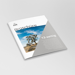 Brochure | 12 pages