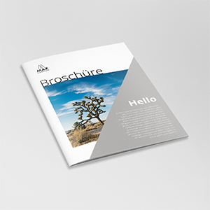 Brochures